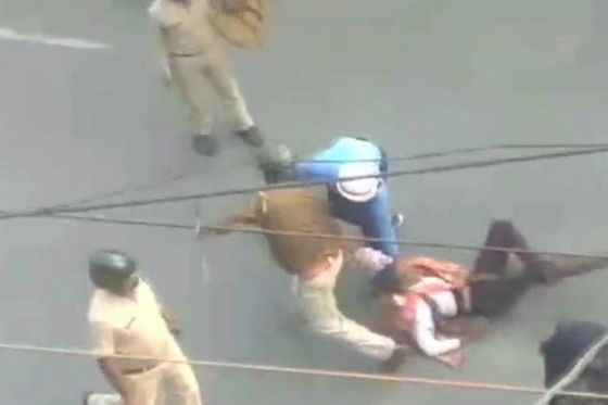 Law-violation Programme