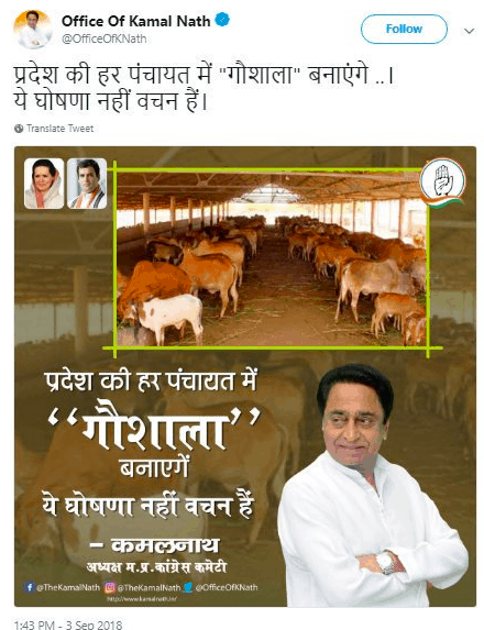 Congress Cow