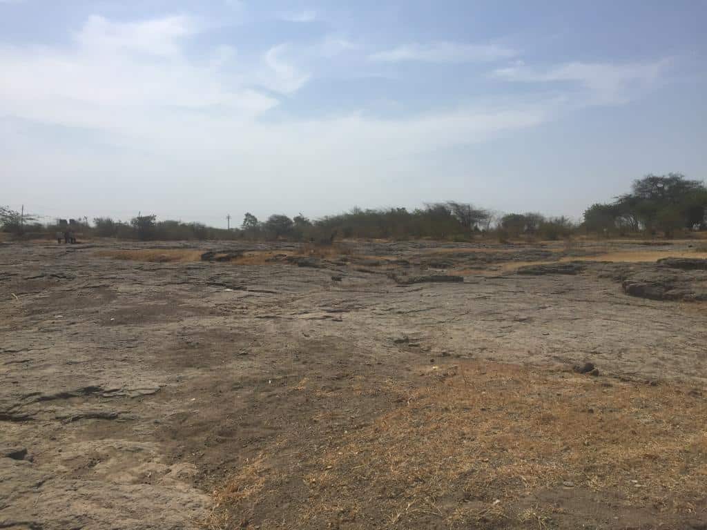 Drought hit farmland in a Rajkot village. 