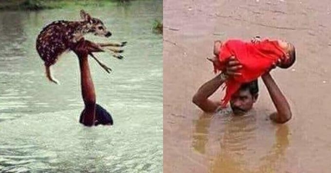Assam floods